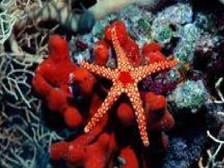 人教版四年级下册第三单元自然之道_第3页