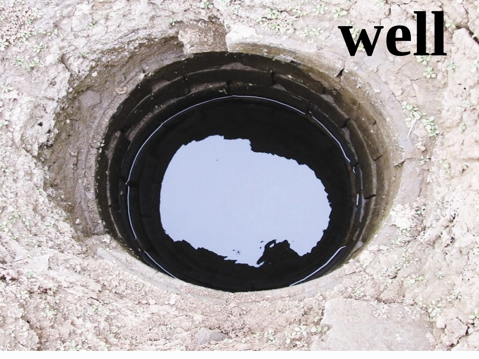 Book-1-Unit-4-words_第1页