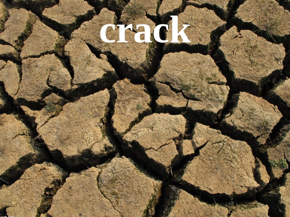 Book-1-Unit-4-words_第2页