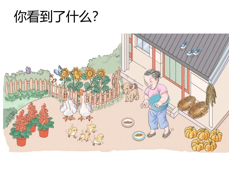 小学数学人教2011课标版一年级1-5的认识_第2页