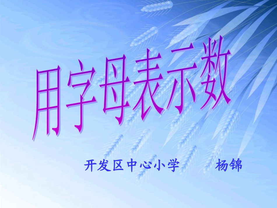 用字母表示数(yangjin)_第1页