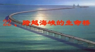 人教版语文四上22跨越海峡的生命桥