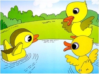 丑小鸭正式课件2-2