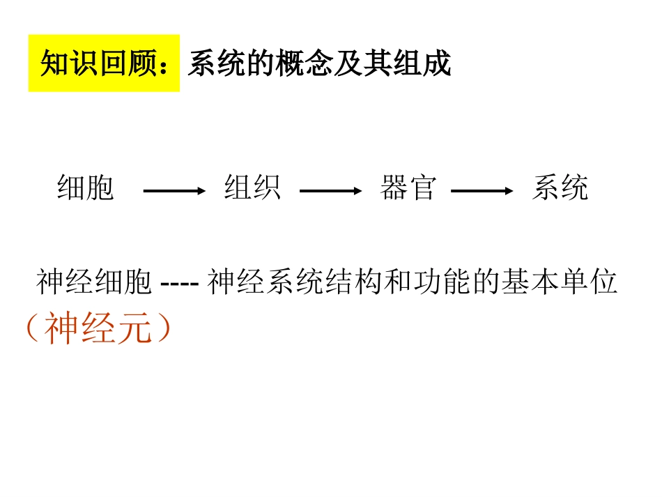 16.1(1)课堂用--人体的神经调节-课件_第3页