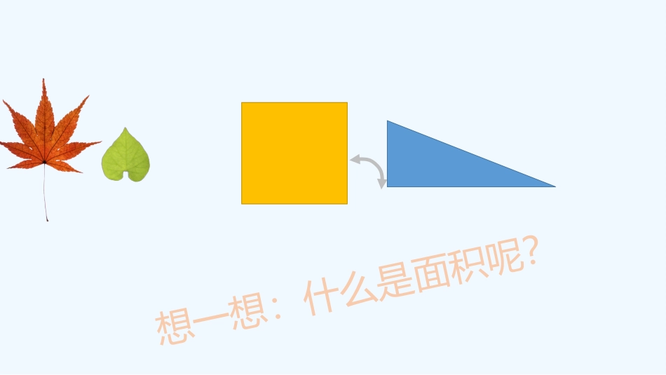 小学数学北师大2011课标版三年级认识面积_第3页