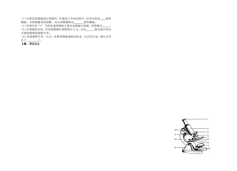 练习使用显微镜讲学稿7_第2页