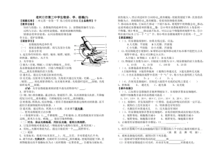 练习使用显微镜讲学稿7