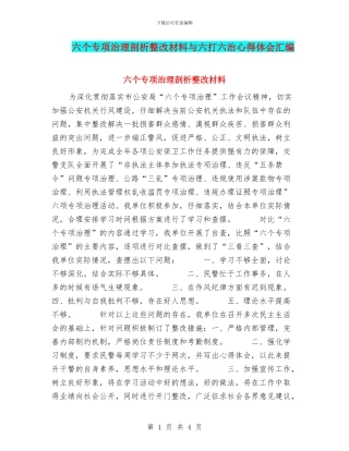 六个专项治理剖析整改材料与六打六治心得体会汇编