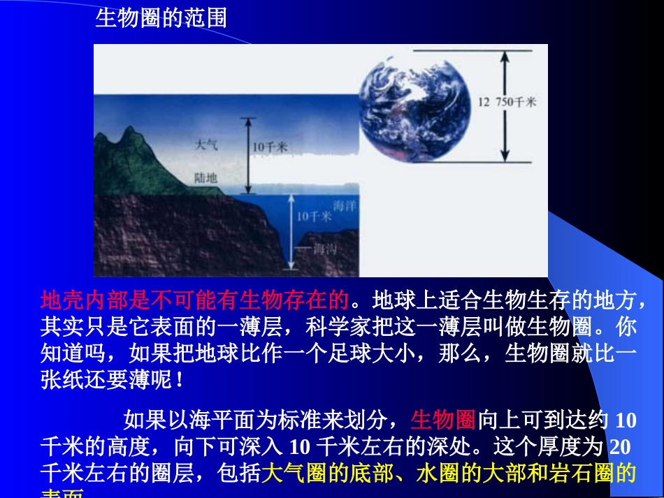 1、1、1生物生存的环境_第2页