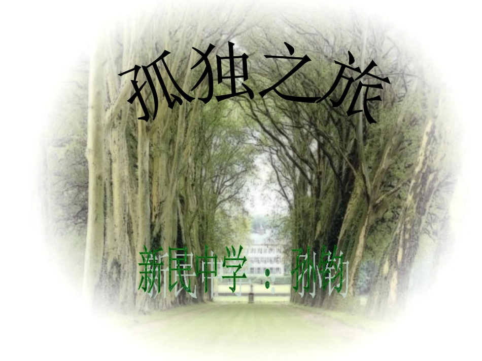 人教新课标版九上《孤独之旅》ppt课件_第2页