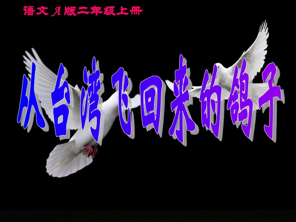 小学语文二年级课件-从台湾飞回来的鸽子_第1页