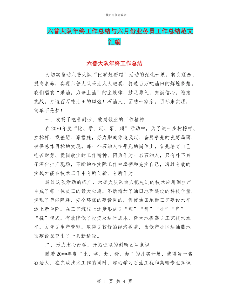 六普大队年终工作总结与六月份业务员工作总结范文汇编_第1页