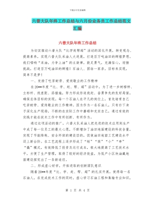 六普大队年终工作总结与六月份业务员工作总结范文汇编