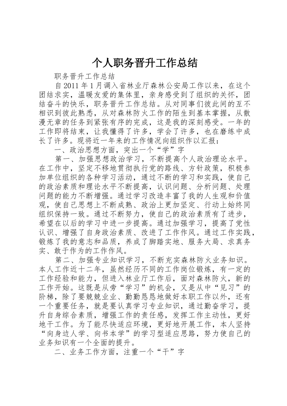 个人职务晋升工作总结_第1页