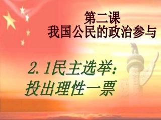 2.1民主选举：投出理性的一票