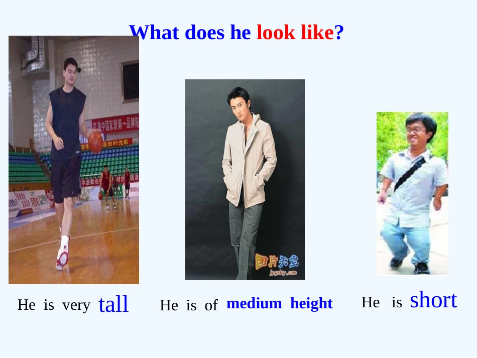 新湘少版五年级上册unit1-what-does-she-look-like_第2页