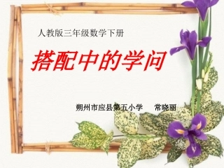 人教2011版小学数学三年级人教版-三年级数学下册数学广角------搭配问题