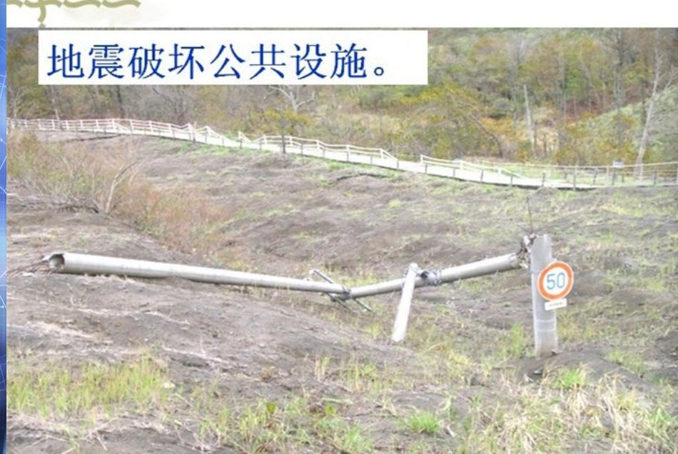 地震中的父与子-(4)_第2页