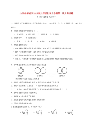 山东省邹城市九年级化学上学期第一次月考试卷 新人教版试卷