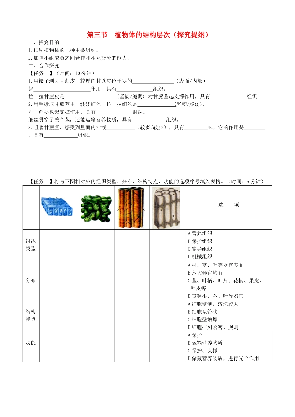 四川省南充市营山县七年级生物上册 2.2.3植物体的结构层次探究提纲 (新版)新人教版试卷_第1页