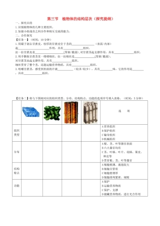 四川省南充市营山县七年级生物上册 2.2.3植物体的结构层次探究提纲 (新版)新人教版试卷