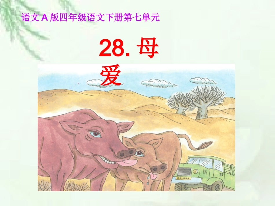 母爱课件(朱海燕)-(1)-2_第1页