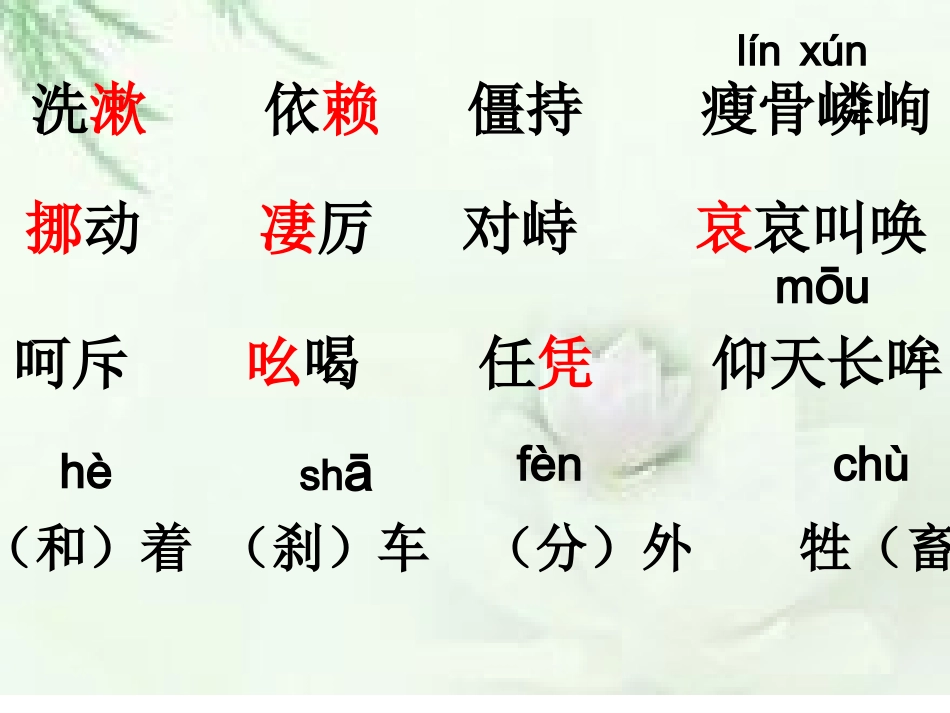 母爱课件(朱海燕)-(1)-2_第2页