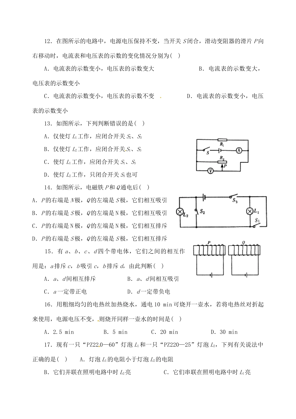 中考物理复习专题二 电学试卷_第3页