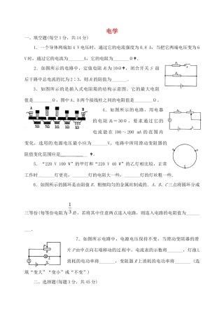 中考物理复习专题二 电学试卷