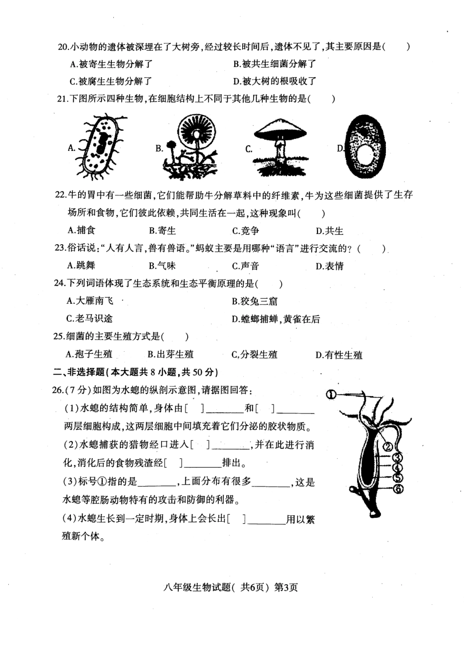 山东省莘县 八年级生物上学期期中试卷(pdf) 新人教版试卷_第3页