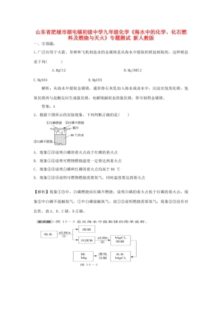九年级化学(海水中的化学、化石燃料及燃烧与灭火)专题测试 新人教版试卷