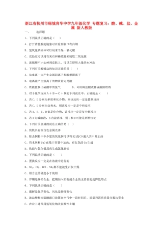 九年级化学 专题复习 酸、碱、盐、金属 新人教版试卷