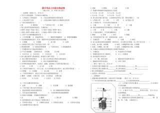内蒙古乌后旗一中七年级生物下学期期中试题(无答案) 新人教版 试题