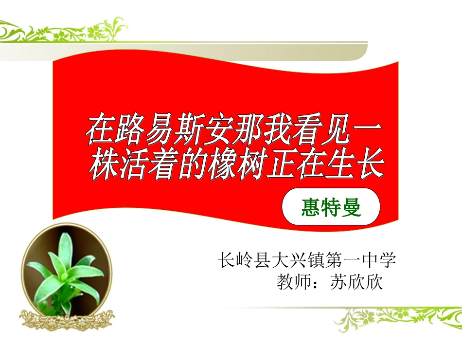 在路易斯安那有一株活着的橡树正在生长_第3页