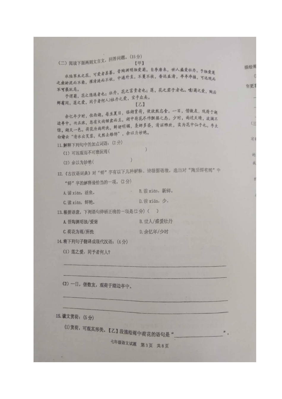 山东省枣庄市薛城区七年级语文下学期期中试卷新人教版试卷_第3页