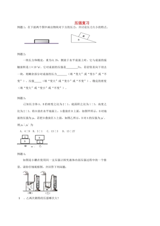 中考物理冲刺复习 力学总复习 压强训练试卷