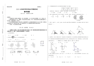 九年级数学学业水平模拟考试试卷(pdf，无答案)试卷