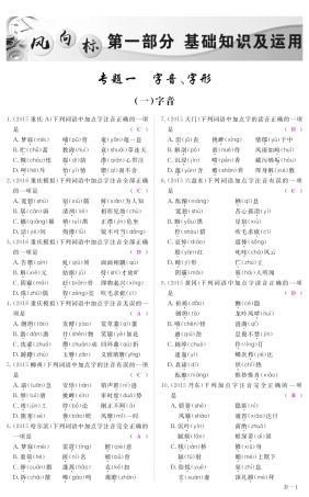中考语文 第一部分 基础知识及运用 专题一 字音字形精练2(pdf)试卷