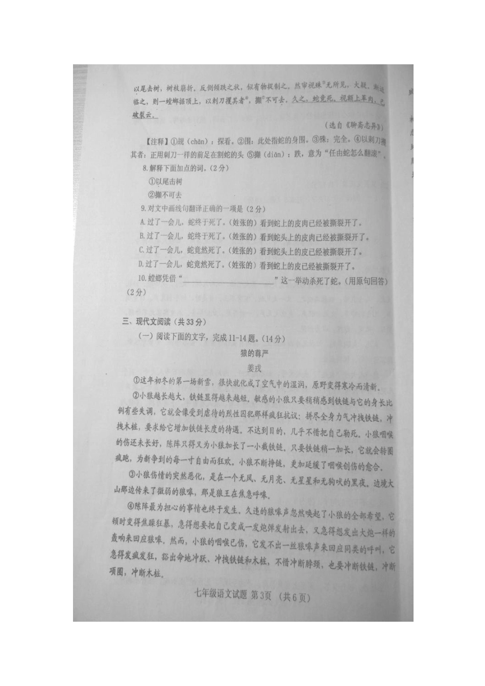 山东省临清市七年级语文下学期期末考试试卷新人教版_第3页