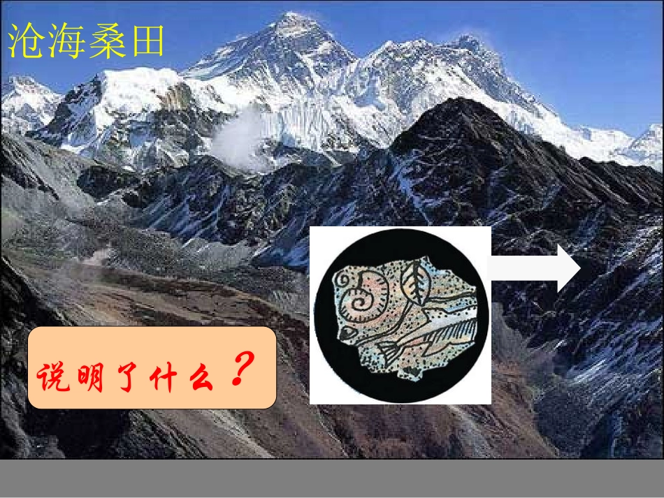 22海陆的变迁_第2页