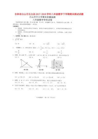吉林省白山市长白县 八年级数学下学期期末测试试卷 新人教版试卷