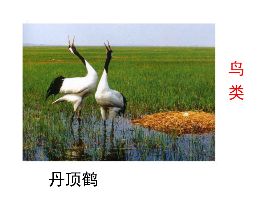 小学数学人教2011课标版三年级三位数加法-(11)_第3页