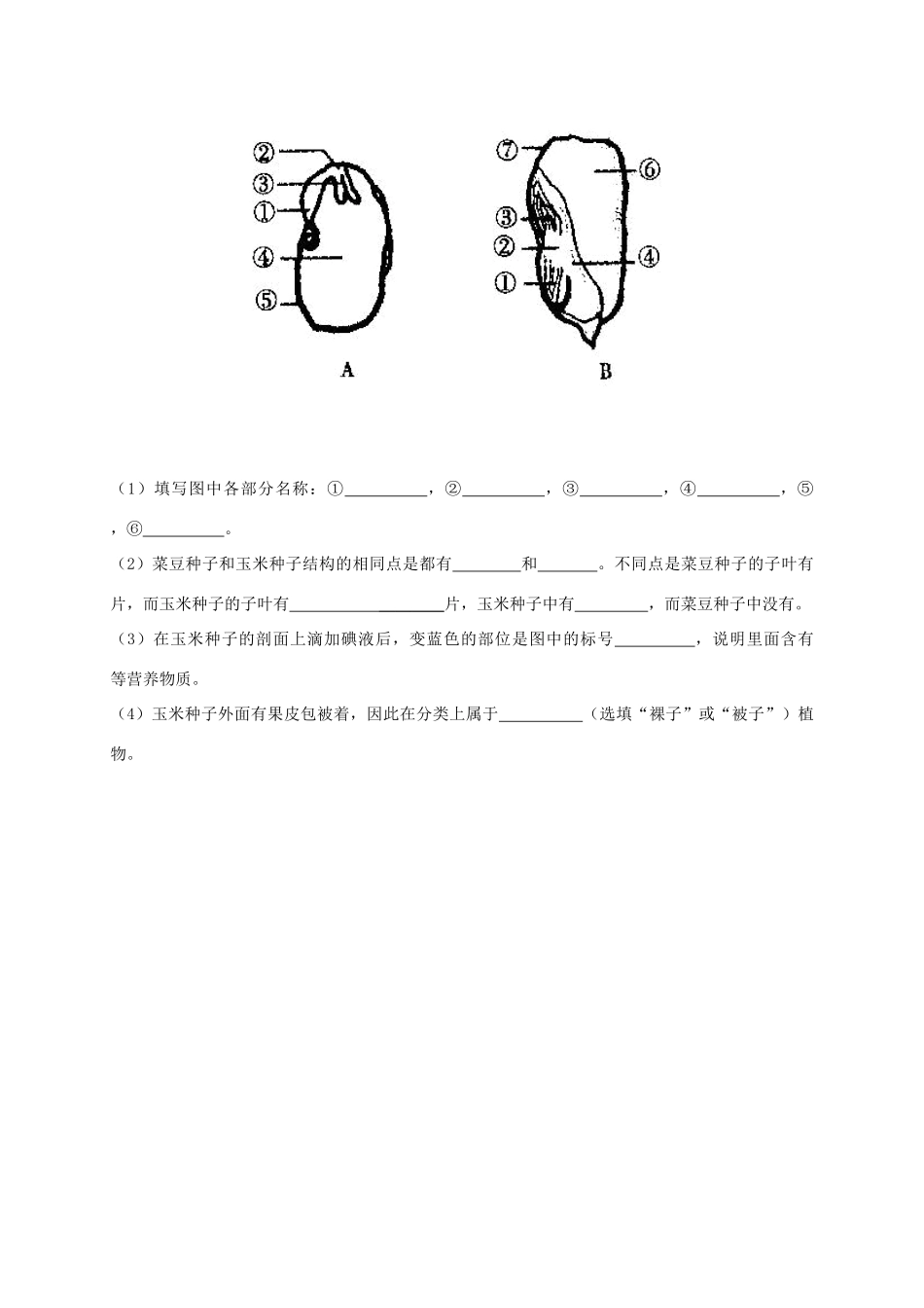 吉林省长春市五校七年级生物上学期第二次月考(期中)试卷_第3页