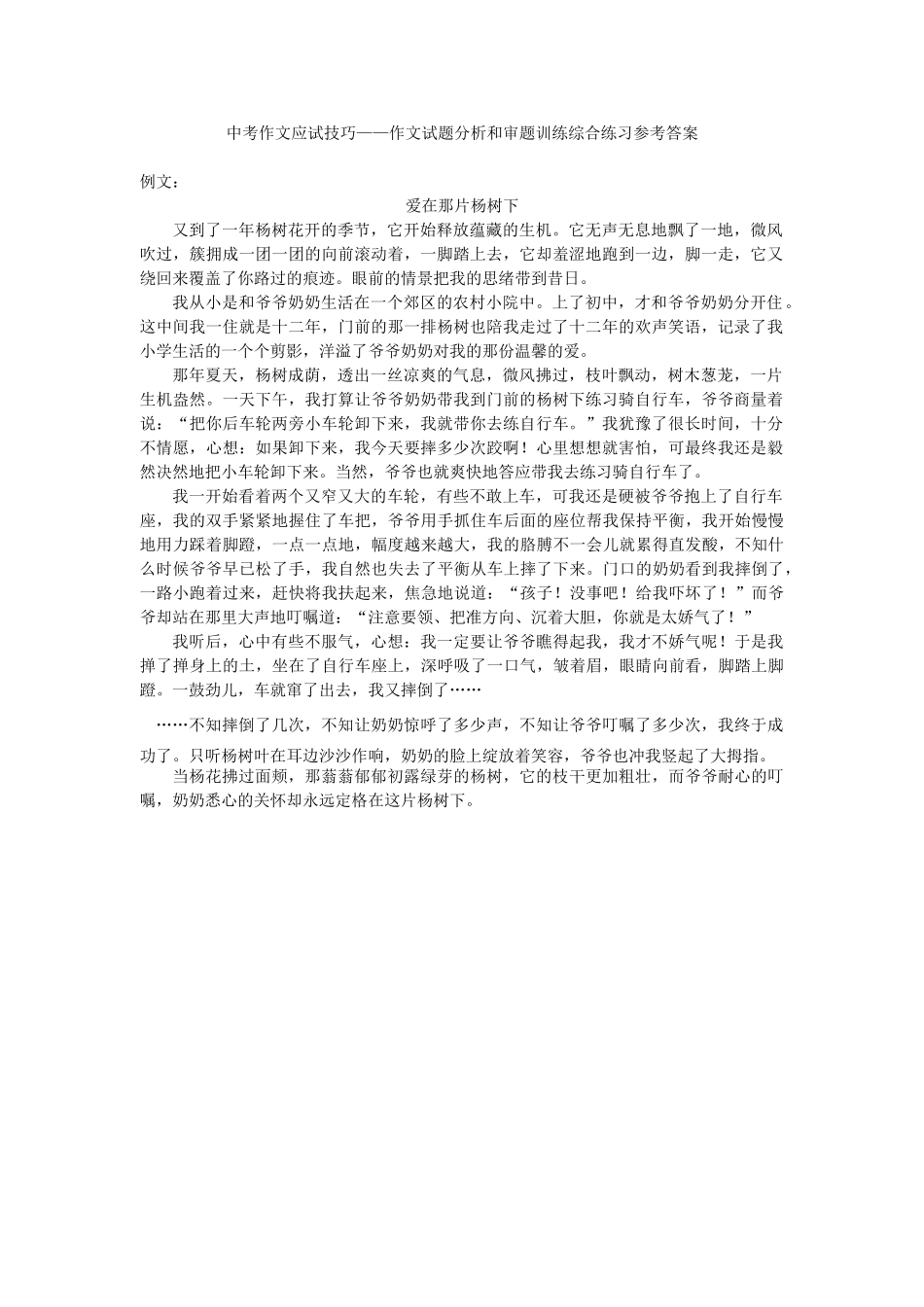 中考语文专题复习 中考作文应试技巧 作文试卷分析和审题训练 新人教版 素材_第2页