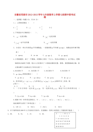 安徽省芜湖市七年级数学上学期七校期中联考试卷