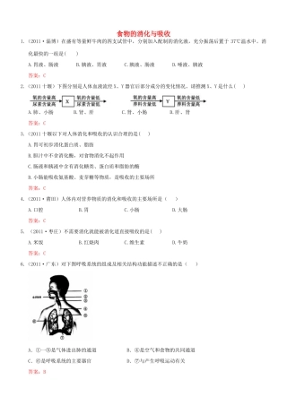 中考生物试卷分类集之十一 人体的消化与吸收试卷