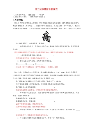 初三化学暑假专题 探究 湘教版 试题