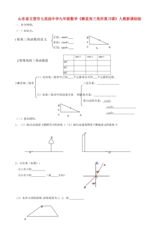 九年级数学(解直角三角形)复习1人教新课标版试卷