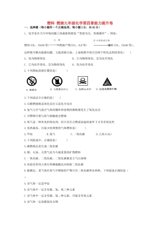 九年级化学第四章能力提升卷试卷