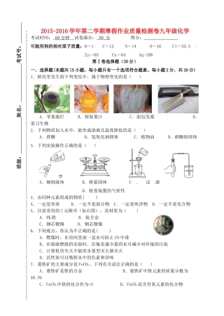 九年级化学下学期寒假作业质量检测试卷 新人教版试卷